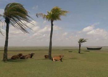 নতুন চরে স্বপ্ন বোনা/ সন্দ্বীপের সাথে যুক্ত  করতে নির্মিত হচ্ছে ১ কিমি. বাঁধ