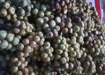 তালের ডাবে ভরা চট্টগ্রাম নগরের অলিগলি/ সরবরাহ ও চাহিদা বাড়ছে