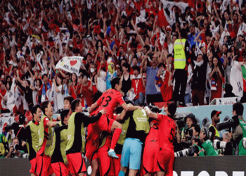 কাতার বিশ্বকাপে যেসব দেশ নক আউট পর্বে লড়বে