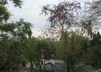 চট্টগ্রাম/ মেঘলা আকাশ, টুপটাপ বৃষ্টি, জনজীবনের ছন্দপতন