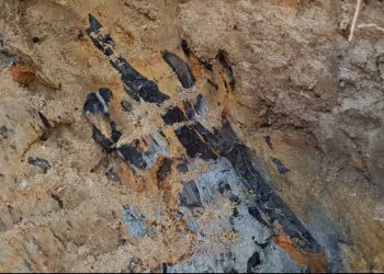 মাটিরাঙ্গায় কয়লার খনির সন্ধান