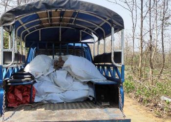 বান্দরবানে সন্ত্রাসীদের গোলাগুলিতে ৮ জন নিহত