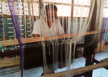 প্রধানমন্ত্রীকে উপহারের জন্য কলাগাছের সুতো ও সিল্কের  মিশ্রণে তৈরি হচ্ছে কলাবতী শাড়ি