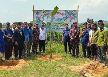 হাতির খাবার যোগাতে কলাগাছ রোপণ কর্মসূচি বিজিবির