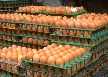 ডিমের বাজারে অভিযান জাতীয় ভোক্তা অধিকার সংরক্ষণ অধিদপ্তরের