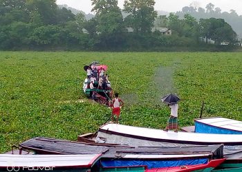 কচুরিপানায় কাপ্তাই জেটিঘাট থেকে যাতায়াত বন্ধ, ৫ মিনিটের পথে ৫ ঘন্টা