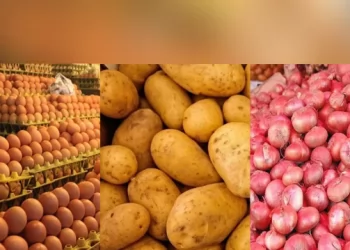 আলু পেঁয়াজ তেল ডিমের দাম ২ সপ্তাহেও কার্যকর করতে ব‍্যর্থ সরকার