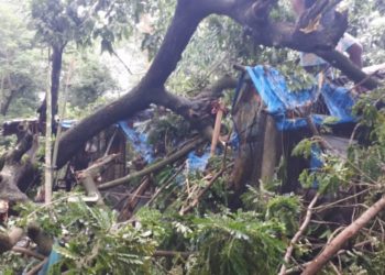 হামুন’র আঘাতে কক্সবাজারে ব্যাপক ক্ষয়ক্ষতি, দক্ষিণ চট্টগ্রামও ক্ষতিগ্রস্ত