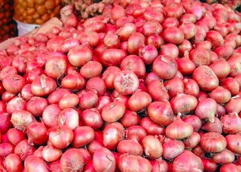 পেঁয়াজ রপ্তানির উপর  ভারতের ৪ মাসের নিষেধাজ্ঞা